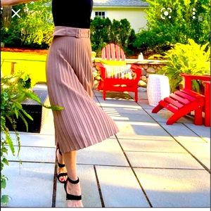 Ann Taylor Pleated Skirt